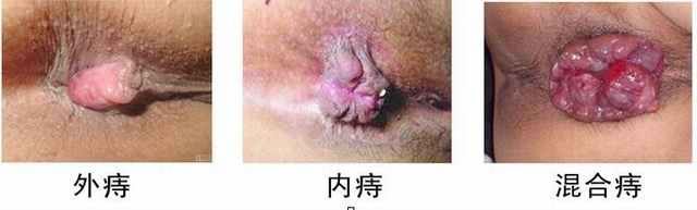 东大53120gc.jpg